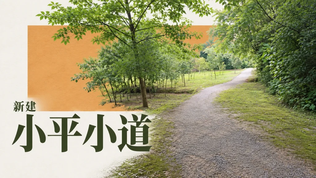 小平小道弯曲的林间道路与植被，未复原人物活动