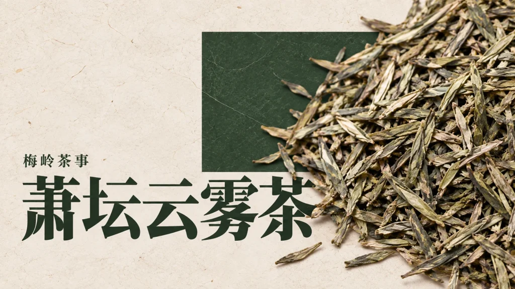 萧坛云雾茶主题，绿茶干叶主题编辑示意