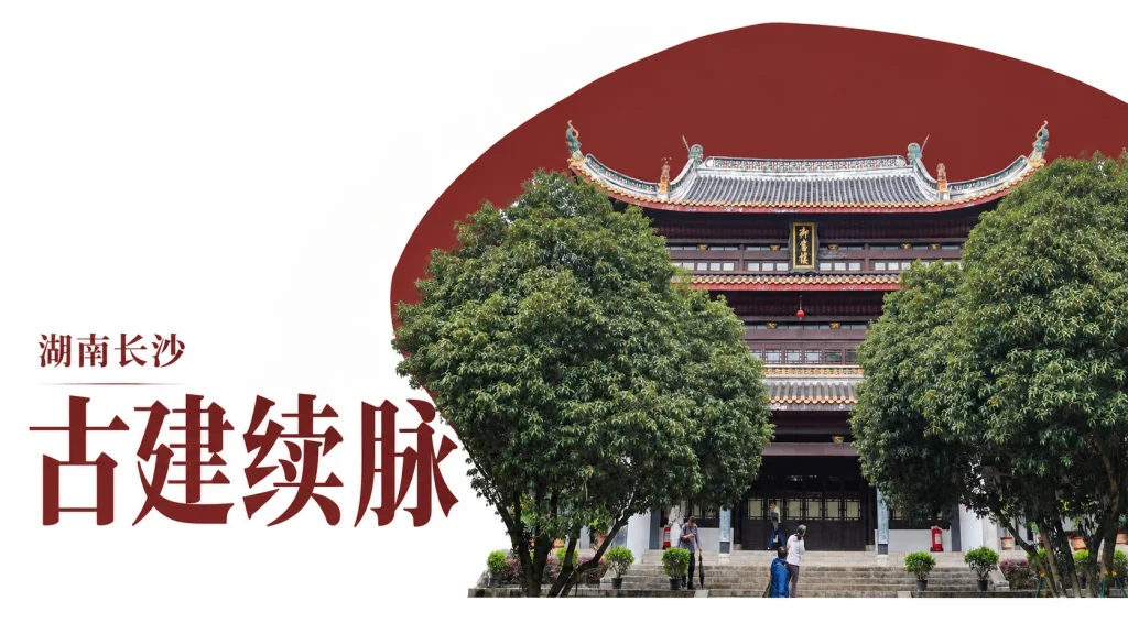 长沙岳麓书院御书楼、台阶与树木，杨慎初研究主题改编图，非人物肖像