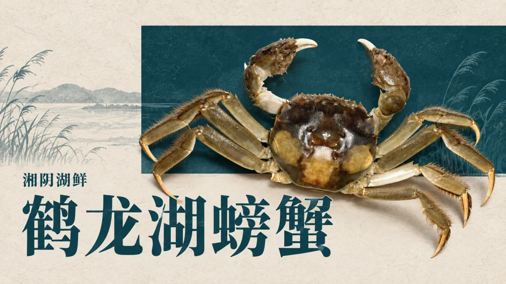 鹤龙湖螃蟹同物种形态主题插图